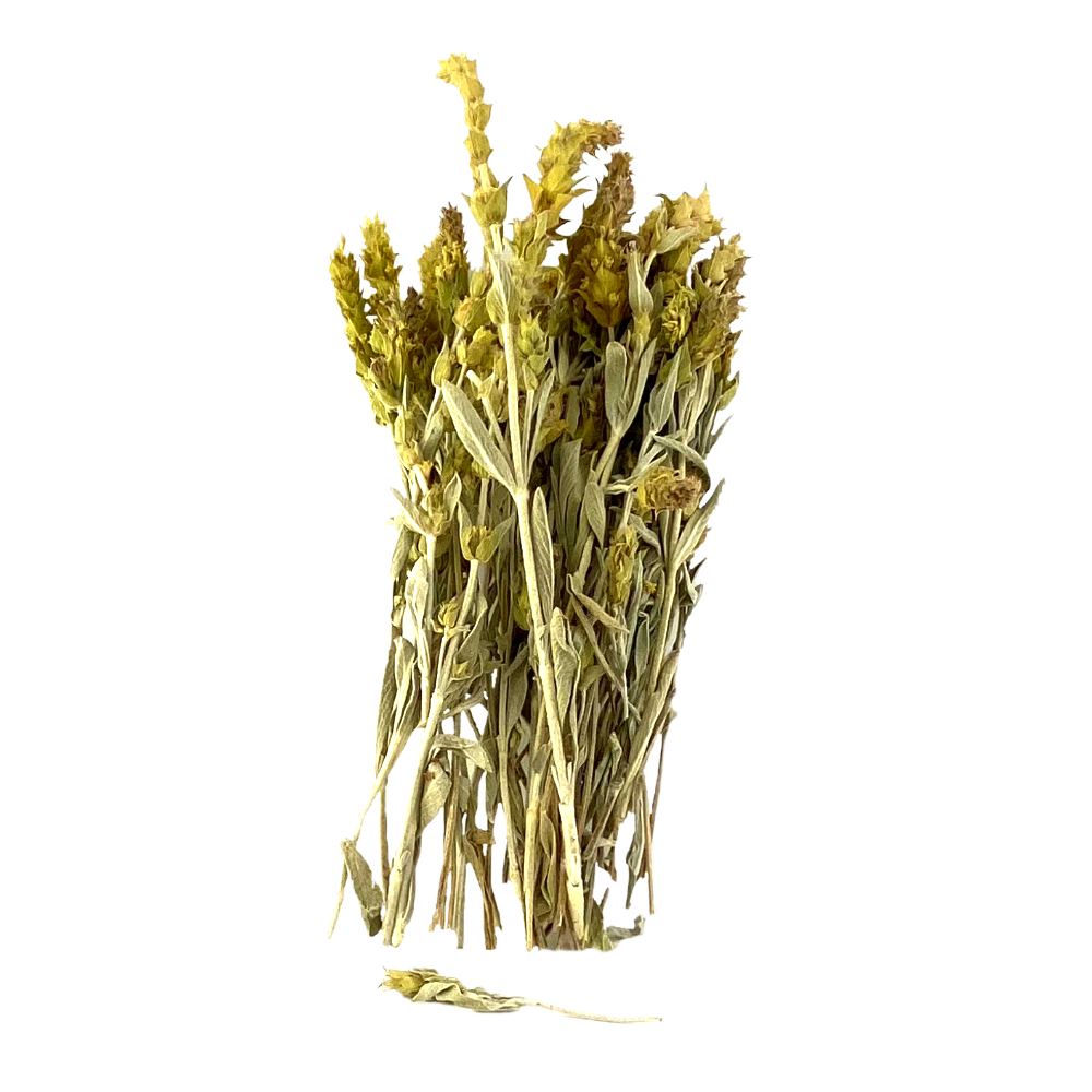 Griechischer Bergtee